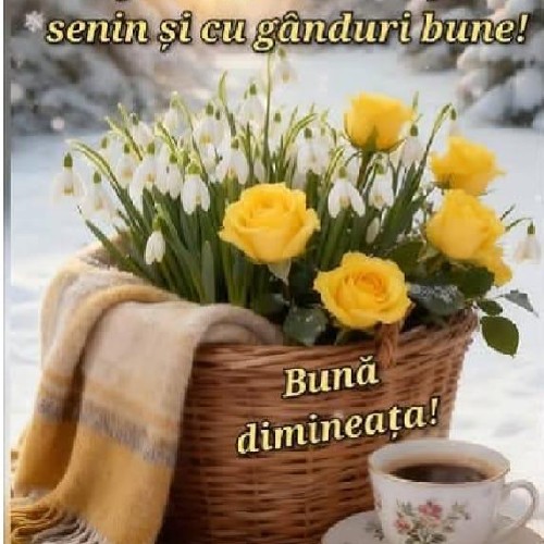 @gupiuser263534