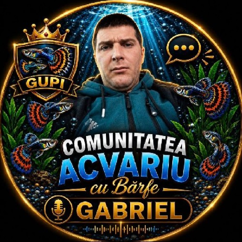@gupiuser141621