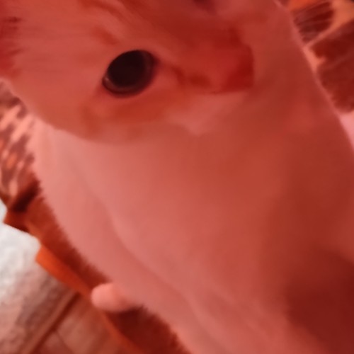 @gupiuser1073391