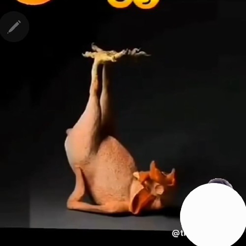 @gupiuser986635