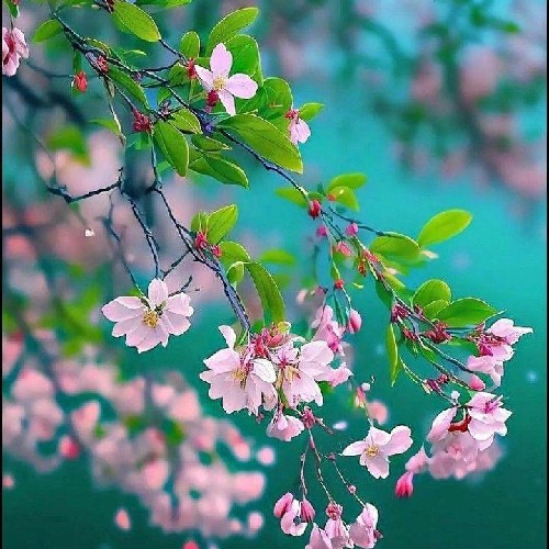 @gupiuser1018653