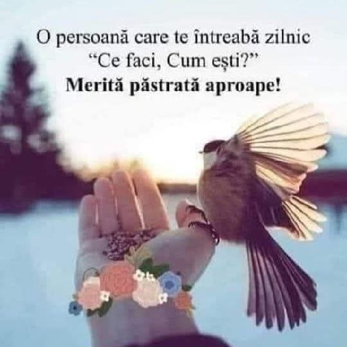 @gupiuser1045547