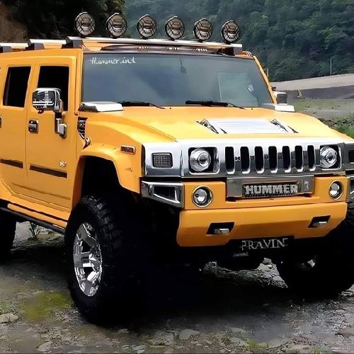 @gupiuser828088