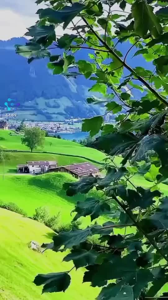 Video de @gupiuser248495