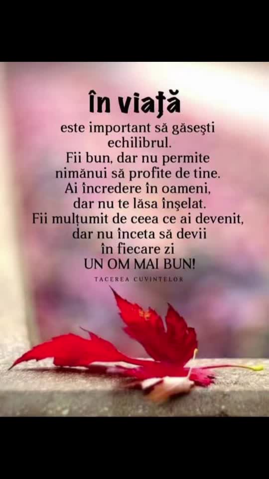 Respectul se câștiga#🌹🌹🌹