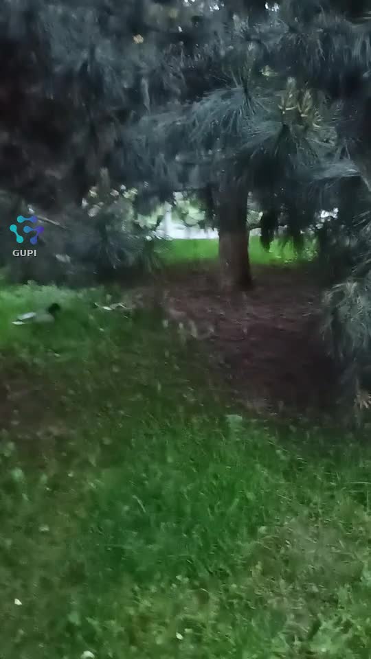 Video de @gupiuser302875