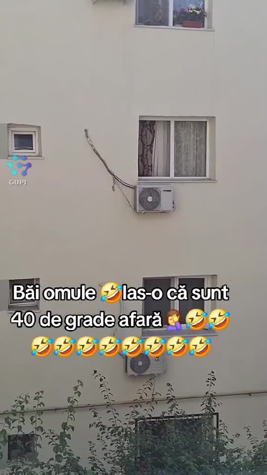 Video de @gupiuser147071