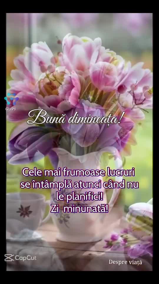 Video de @NinelaNinela🙏♾️🙌🤍🕊♾️