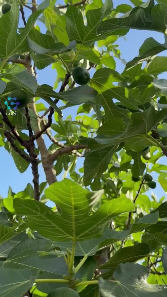 👀💁‍♀️😎