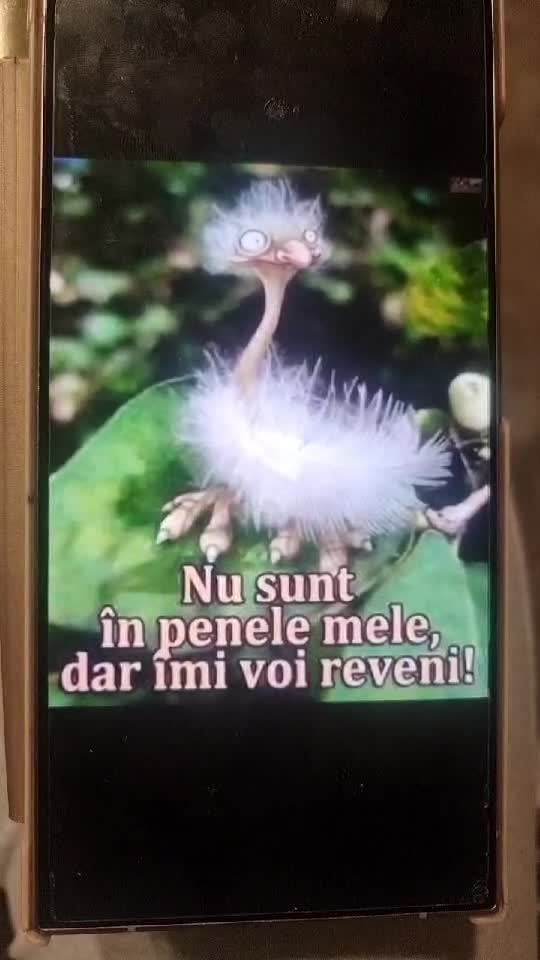🤣🤣🤣🤣