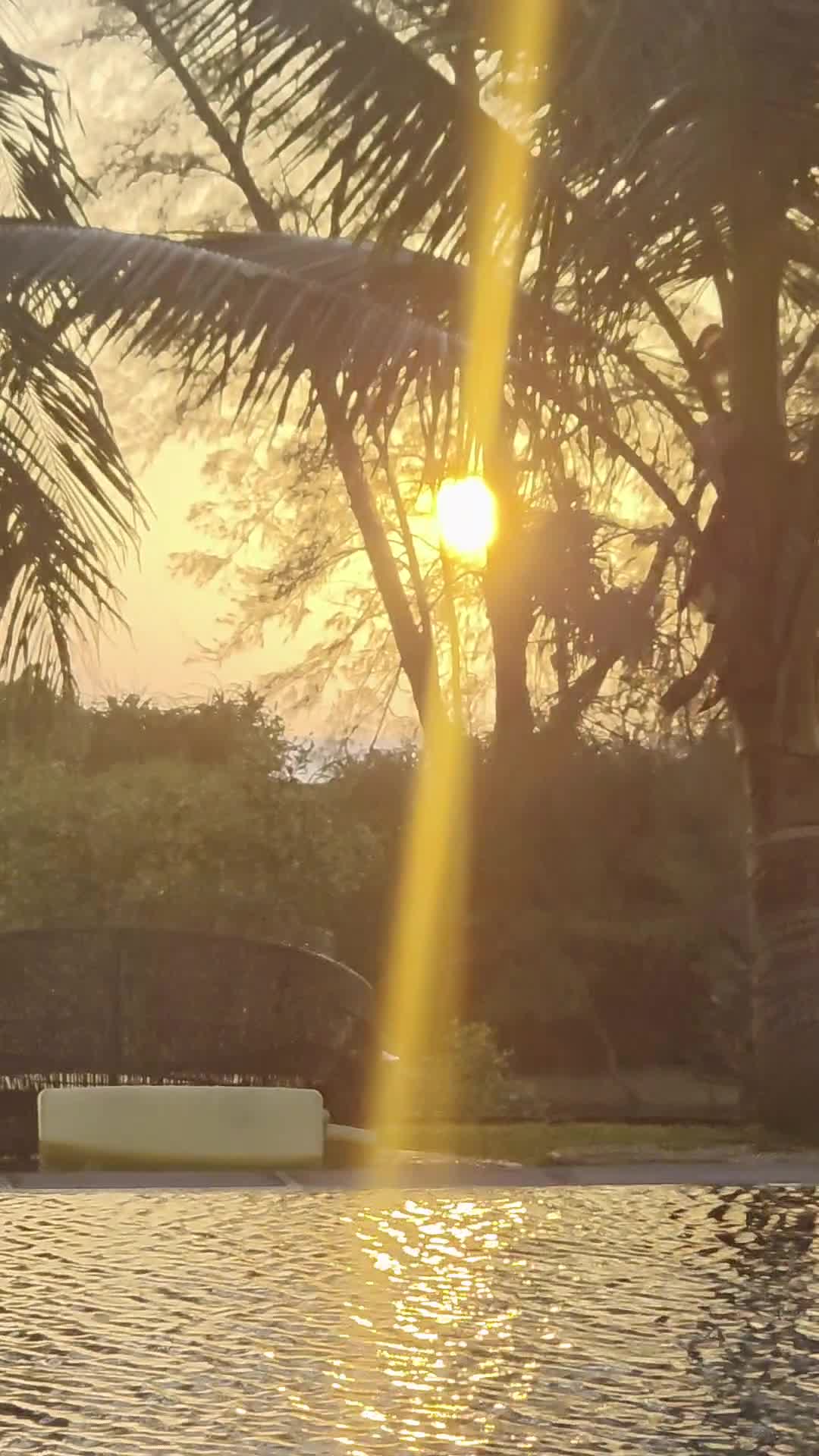 Video de @MarcelAndrei