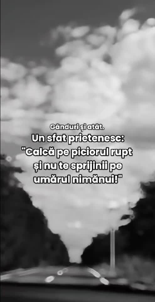 #5pasidebine