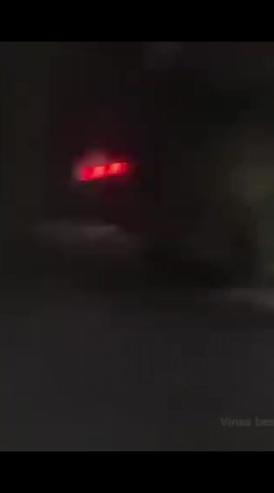 funnyvideos