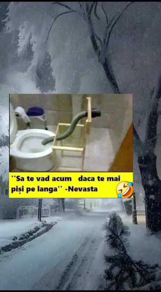 🇷🇴🤪🇷🇴#🇷🇴🤣🤣