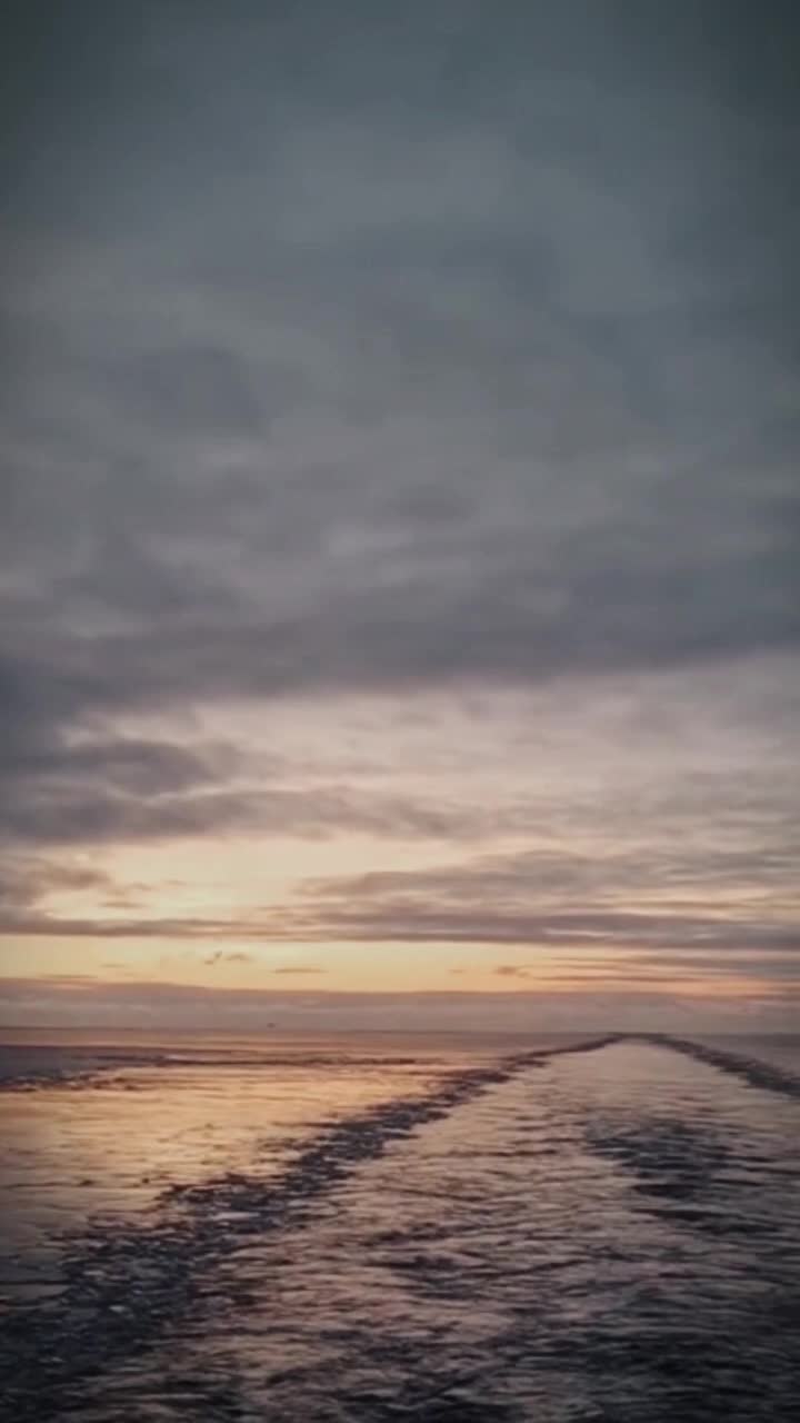#  🌊🚢 #🦋