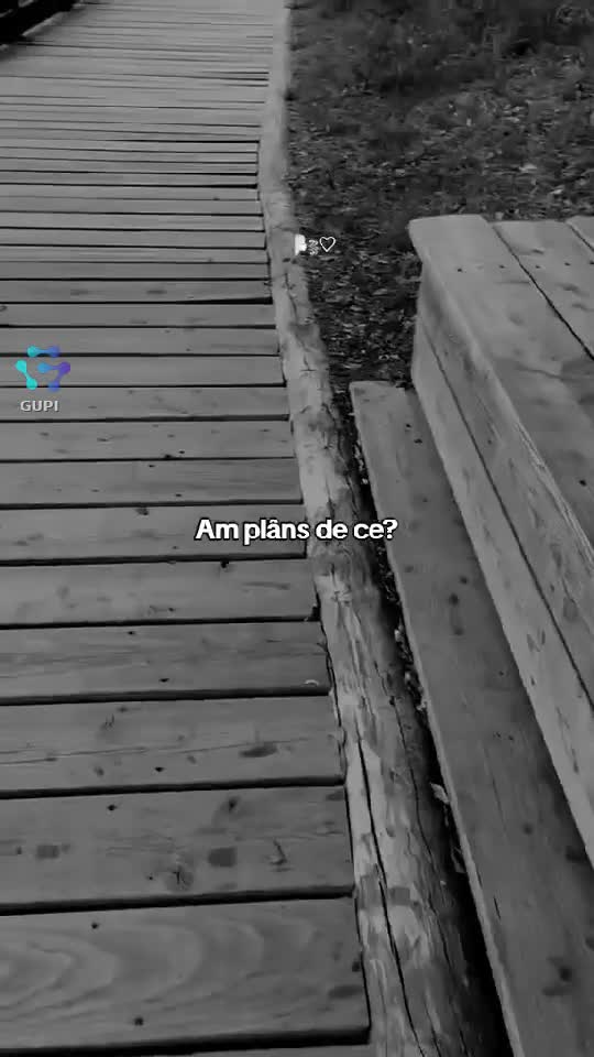 Video de @FLRica06