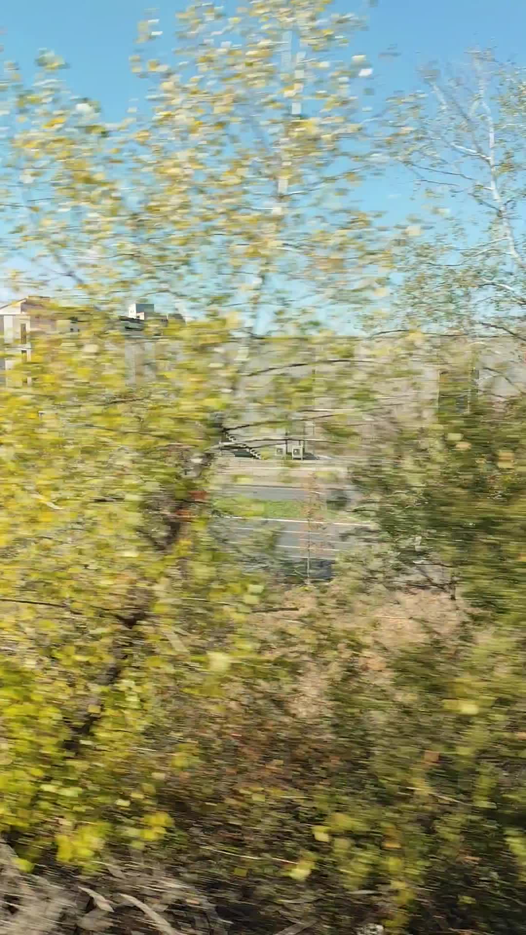 Video de @gupiuser902980