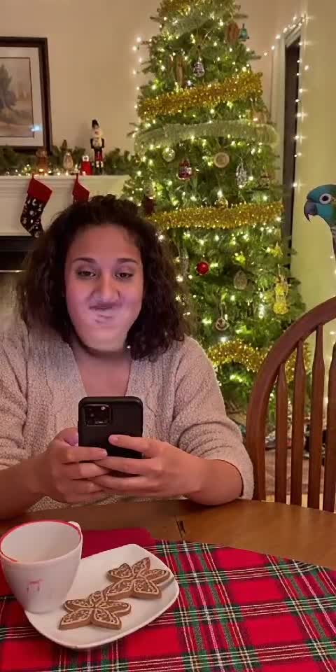 Parrot Ruins Christmas Song 🦜🎶