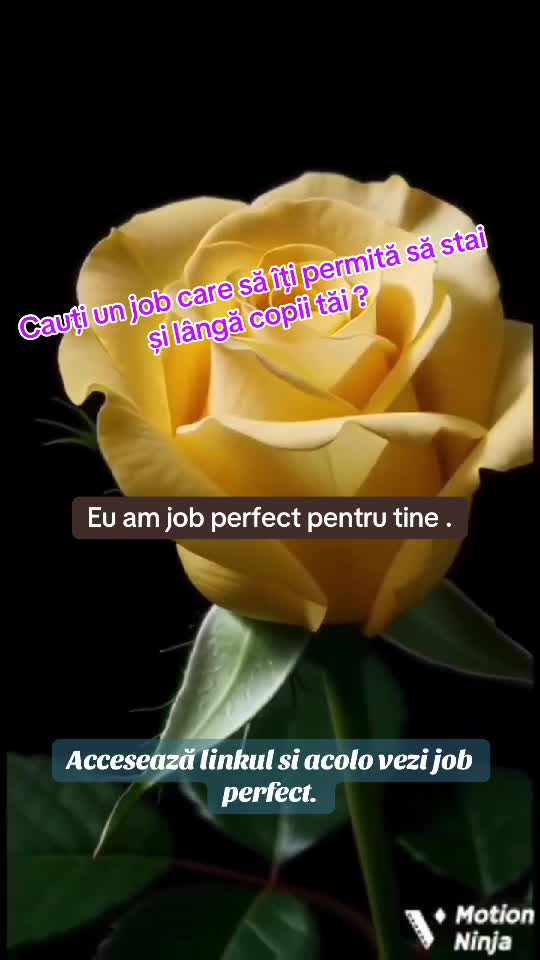 Dacă doriți mai multe detalii ne auzim în privat !