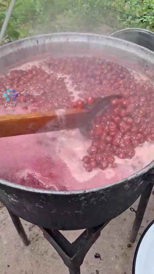 Sirop de...