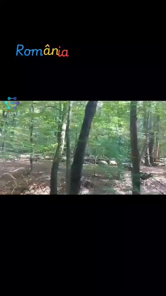 Video de @FLRica06