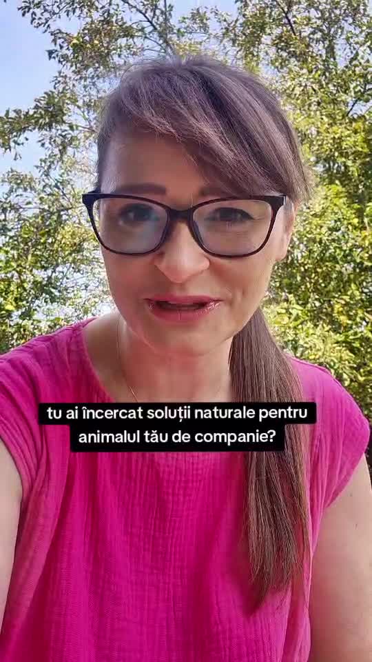 ficat gras la pisica