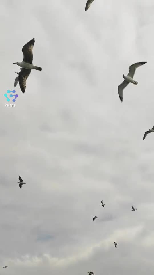 #blacksea