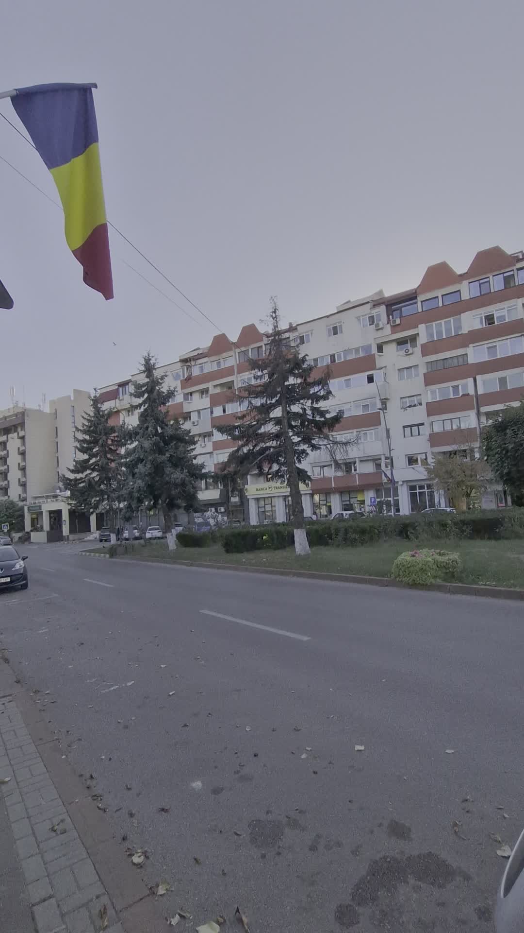 Video de @gupiuser979964
