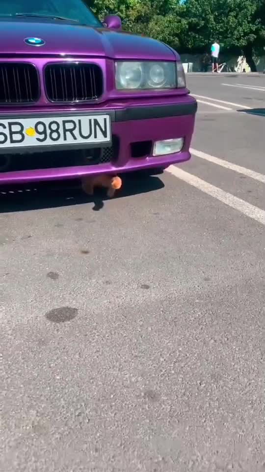#bmwccro