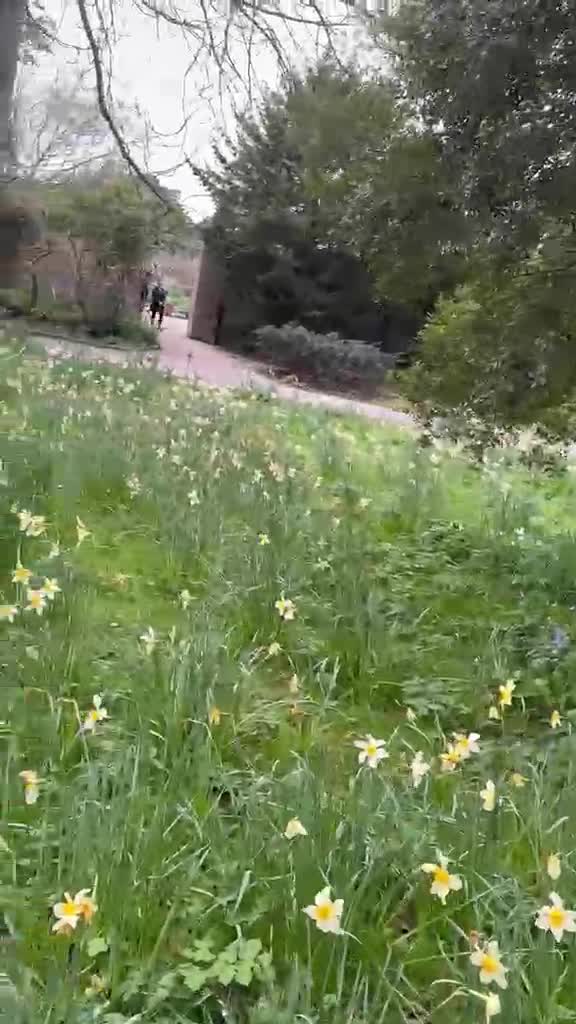 Video de @💗gigilica💗
