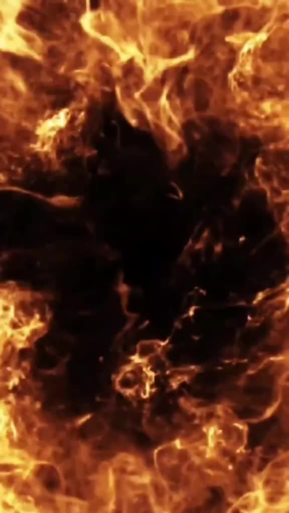 Video de @gupiuser60520