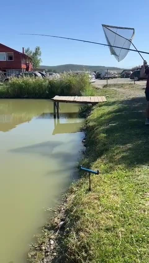 #fishing