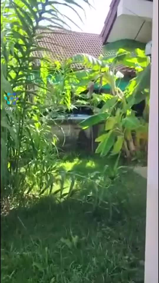 Video de @🇨🇭Vasile1805🇧🇪