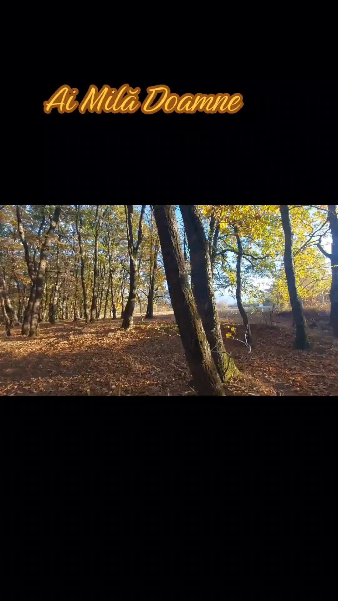 Video de @FLRica06