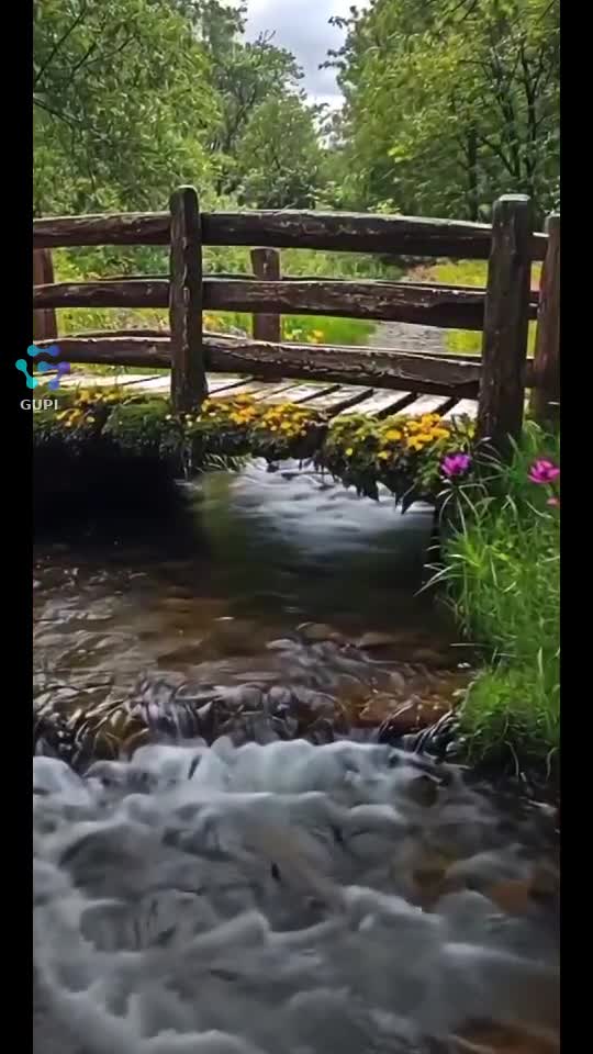 Video de @gupiuser19598