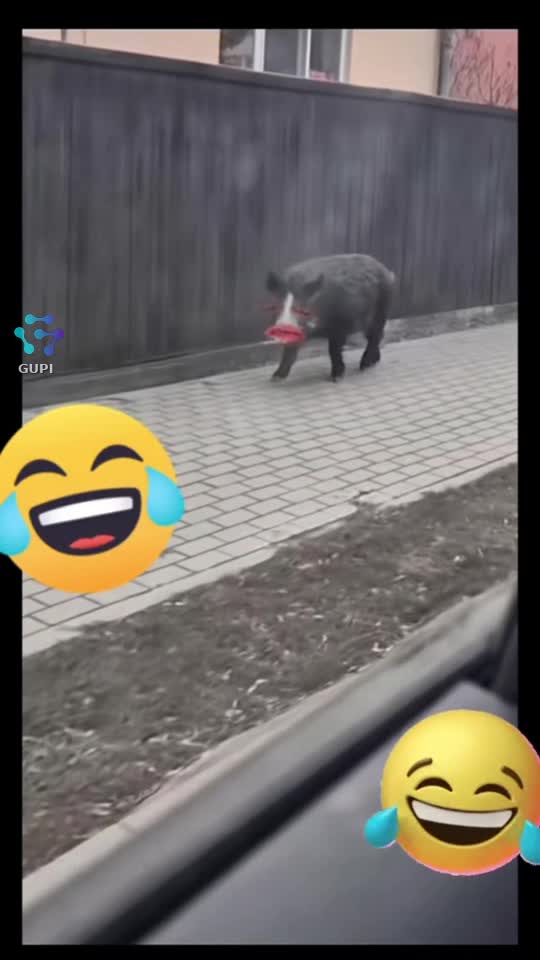 Original Sound - 🎭ÏÖŅŮȚ