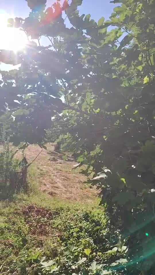 Cafeaua de dimineață la munte 🥰😊☕
