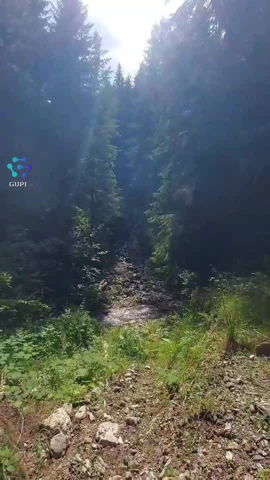 Video de @FLRica06