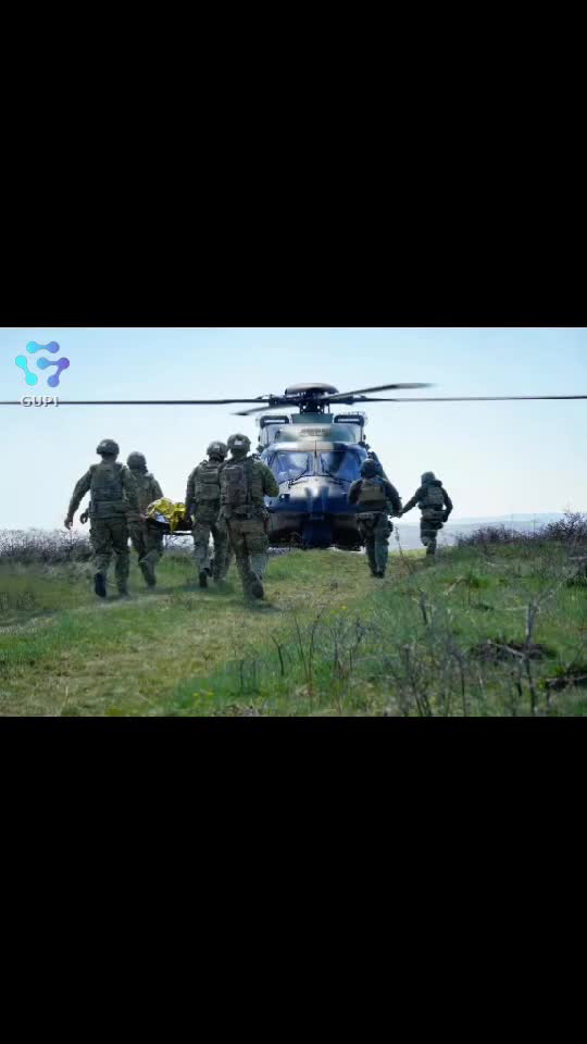 Video de @gupiuser279395
