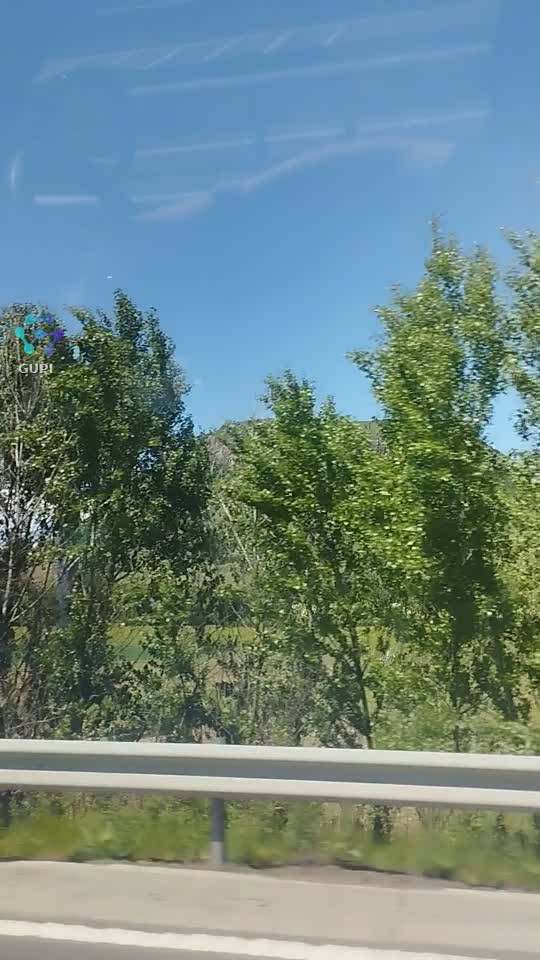 Video de @gupiuser165005