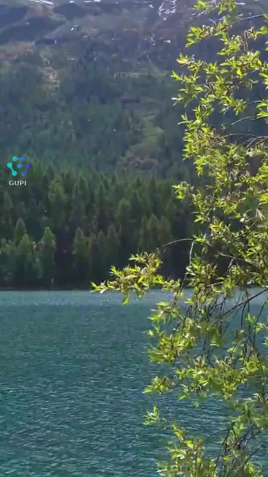 Trenulețul Roșu BerninaTraseu: Tirano (Italia) – Sankt Moritz (Elveția).Statut: Patrimoniu Mondial UNESCO. Este cea mai înaltă cale ferată transalpină