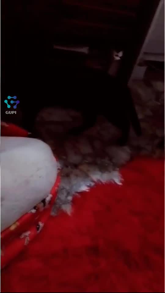 Original Sound - Dorian Dorys