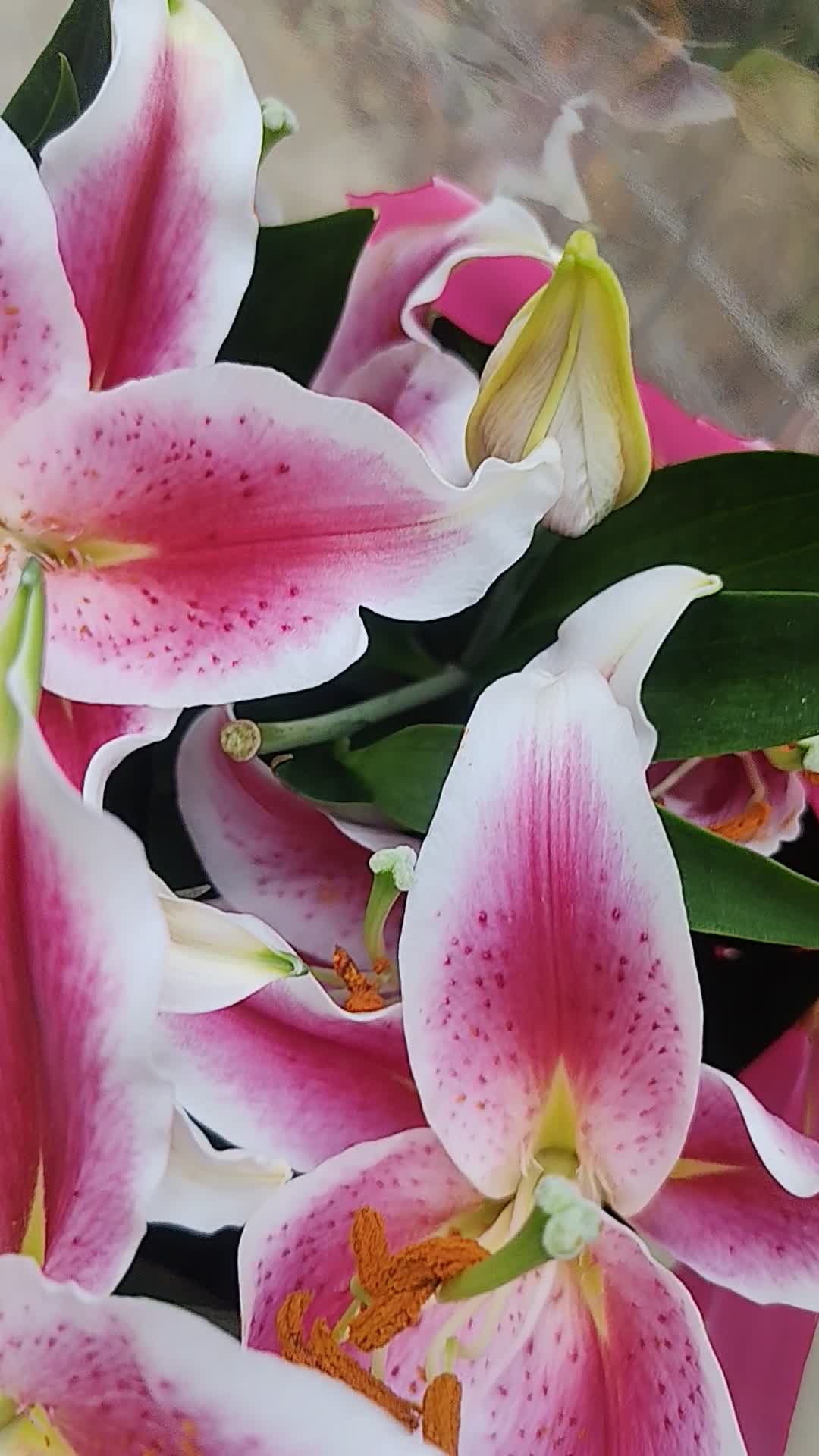 Crinii pentru sora mea! Iubește mult florile de crin asa ca azi de ziua ei i-am oferit aceste flori frumoase!!!