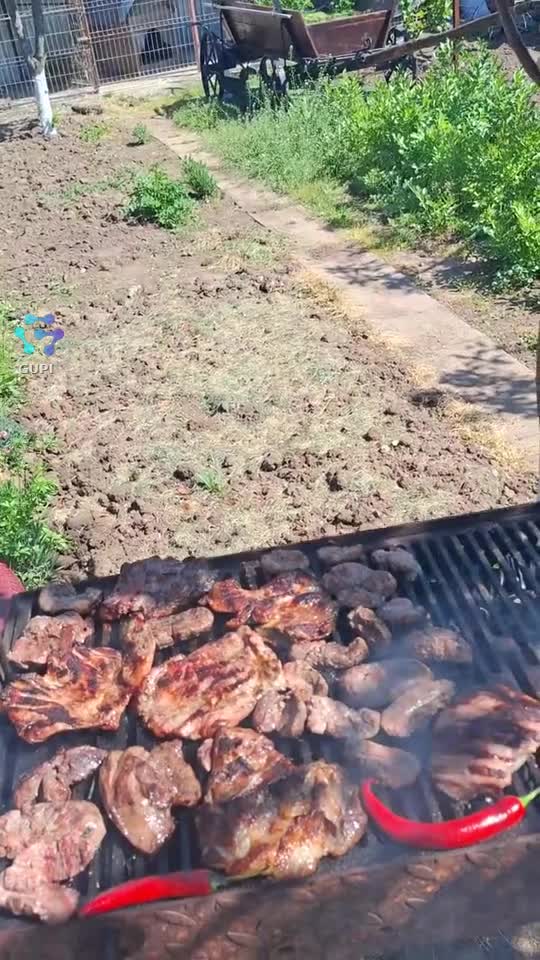 Delicatese culinare!🤗