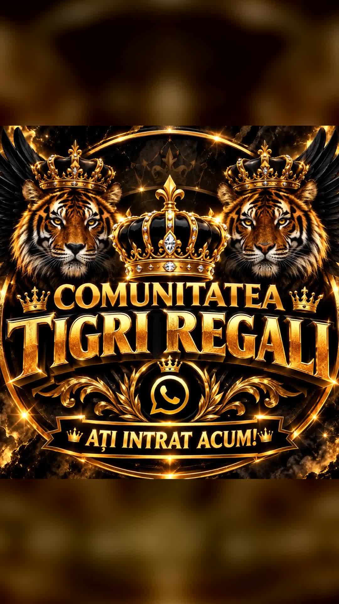 ai comunitate tigri regali deschis acum