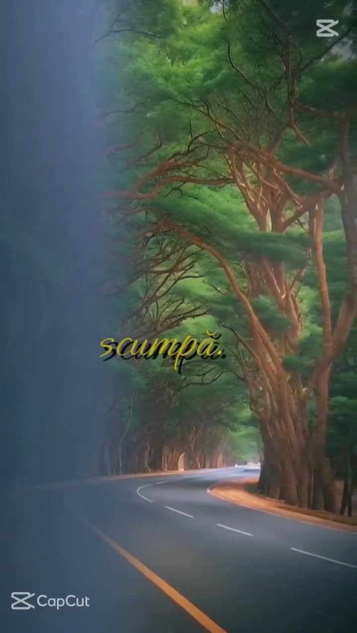 Dăruiește