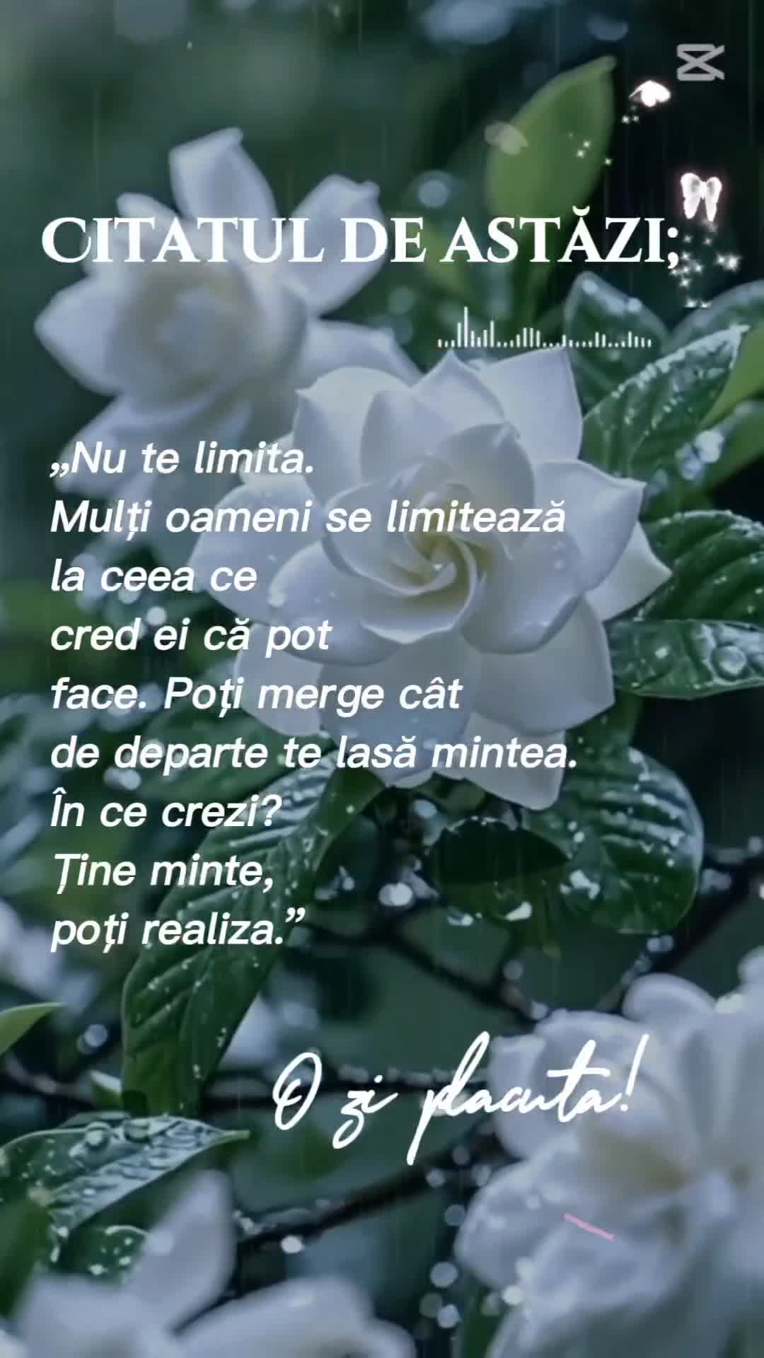Citatul de azi