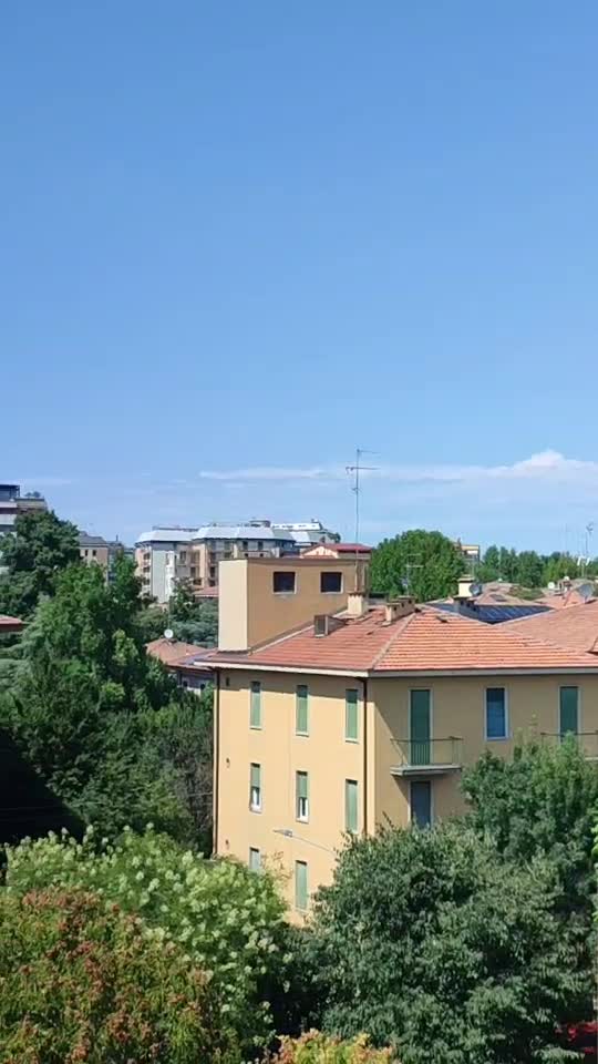 O zi frumoasă de august ☺️🌹💖