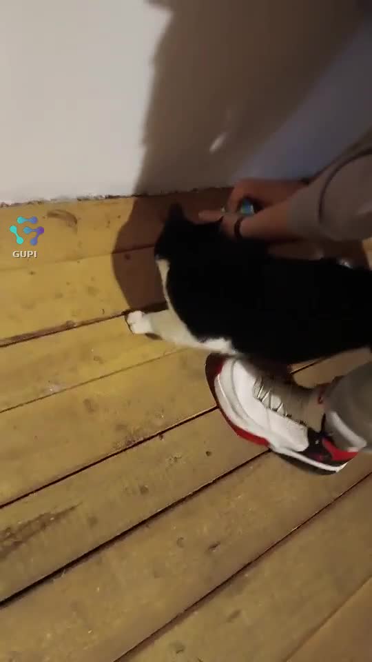 Video de @gupiuser351313