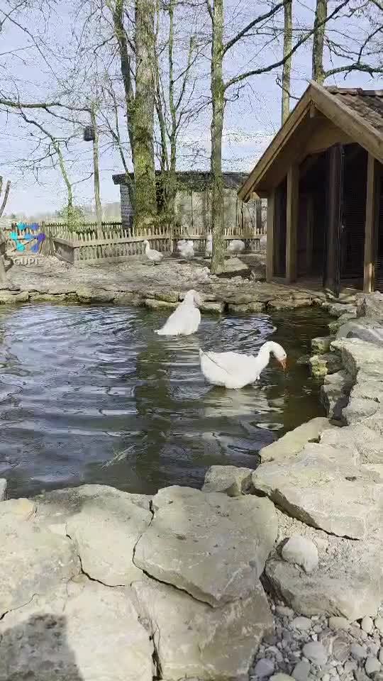 🤗🤗🤗